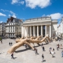 Henrique Oliveira, Le Rève de Fitzcarraldo, Place Graslin.