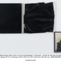 STEVEN PARRINO Disruption, 1981